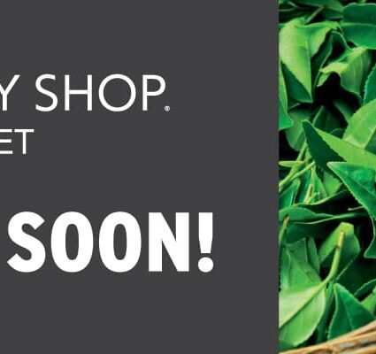 The Body Shop Outlet Coming Soon!