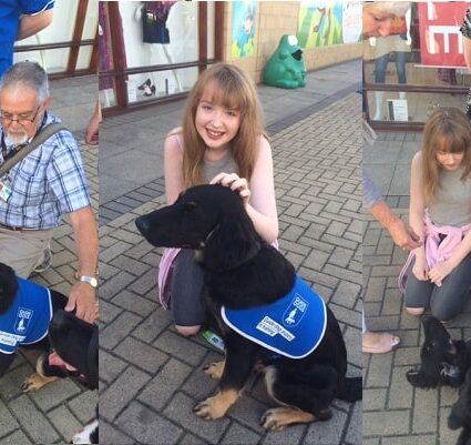 Treacle on track for big future for Guide Dogs for the Blind