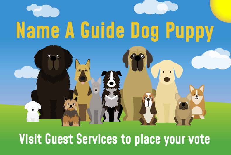 LV Name a Puppy Web News