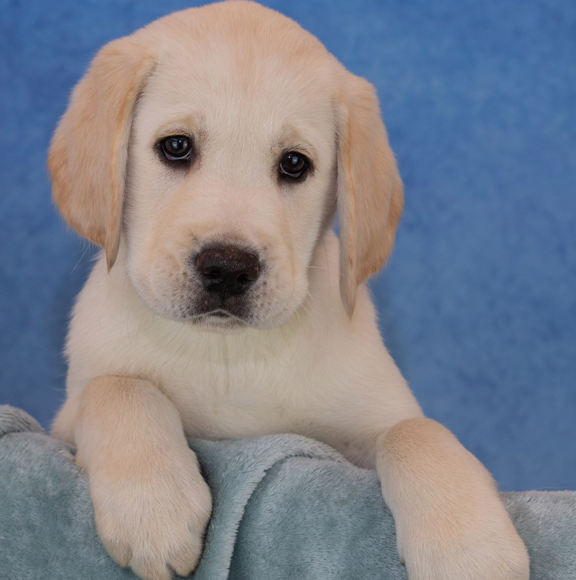 Bingos 6 week photo Jan22