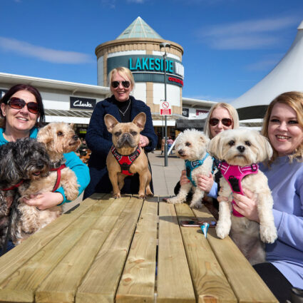 <strong>Could your dog help Lakeside Village launch its new Mutt Hut?</strong>
